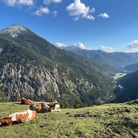 Landhaus Renata - Wendelstein Bayrischzell Ngoại thất bức ảnh