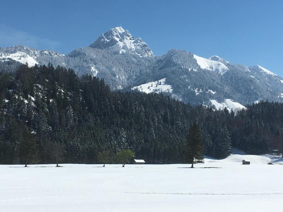 Landhaus Renata - Wendelstein Bayrischzell Ngoại thất bức ảnh